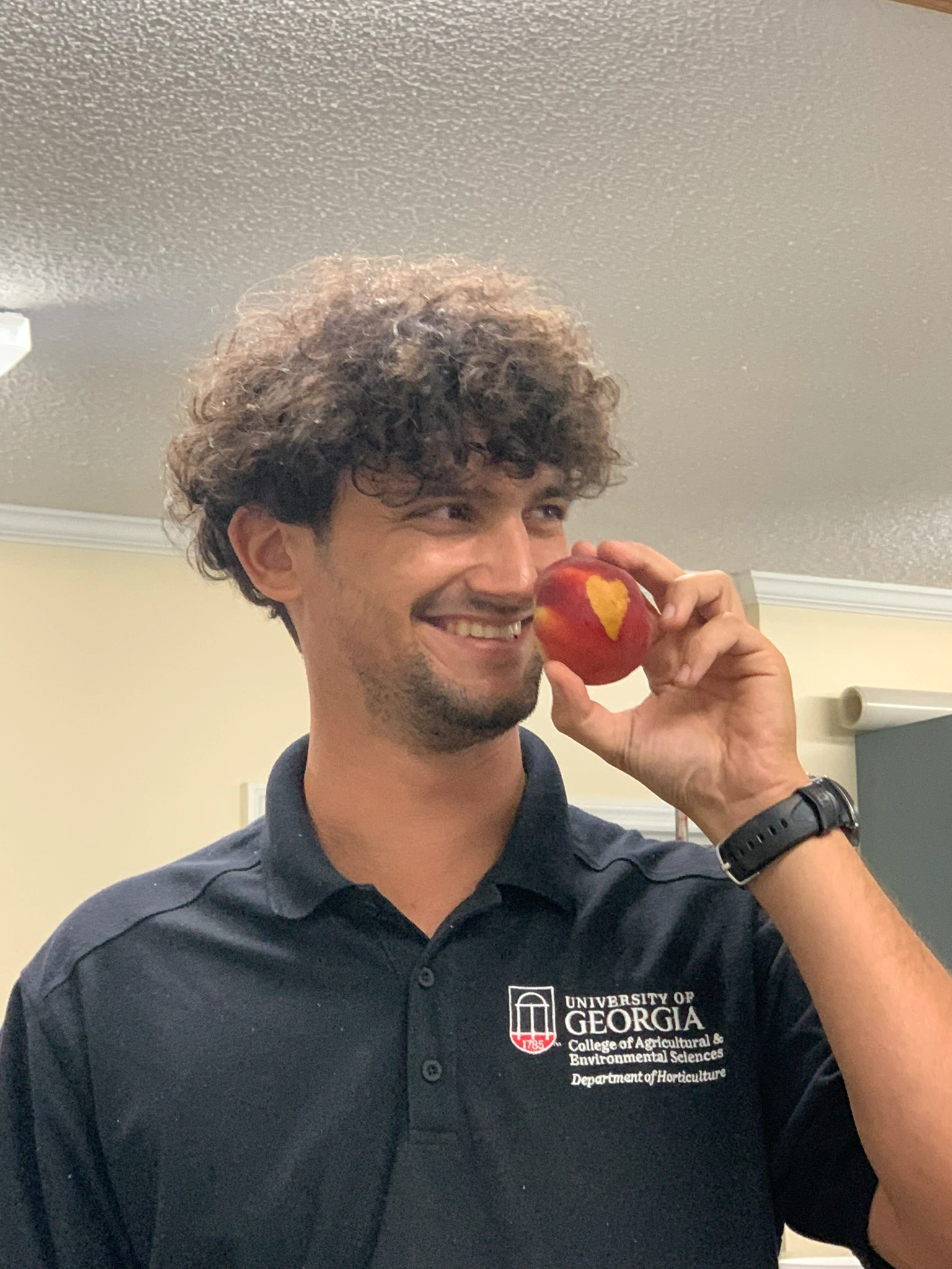 Peach postharvest sampling work