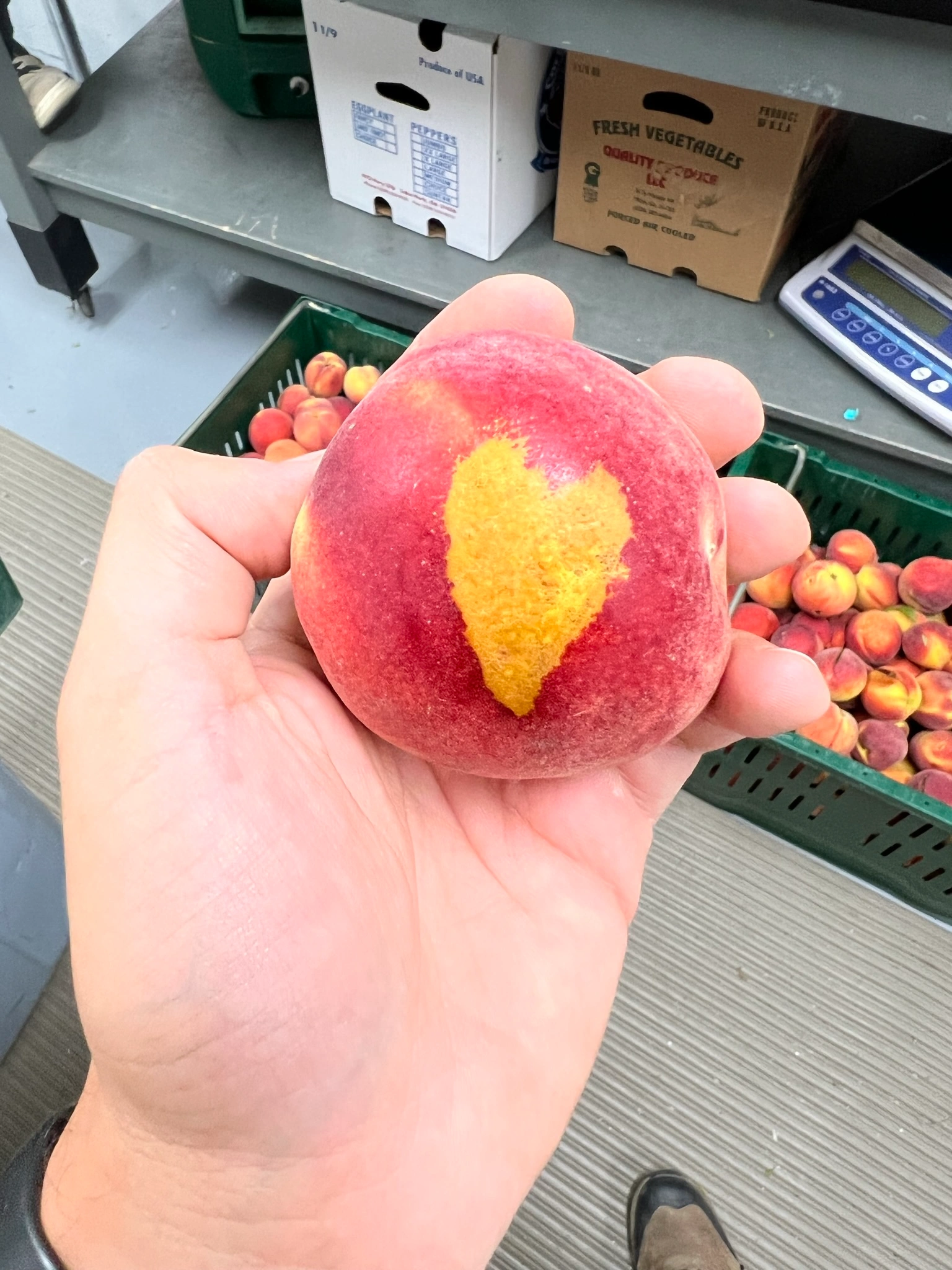 Consulting discussion on postharvest strategy