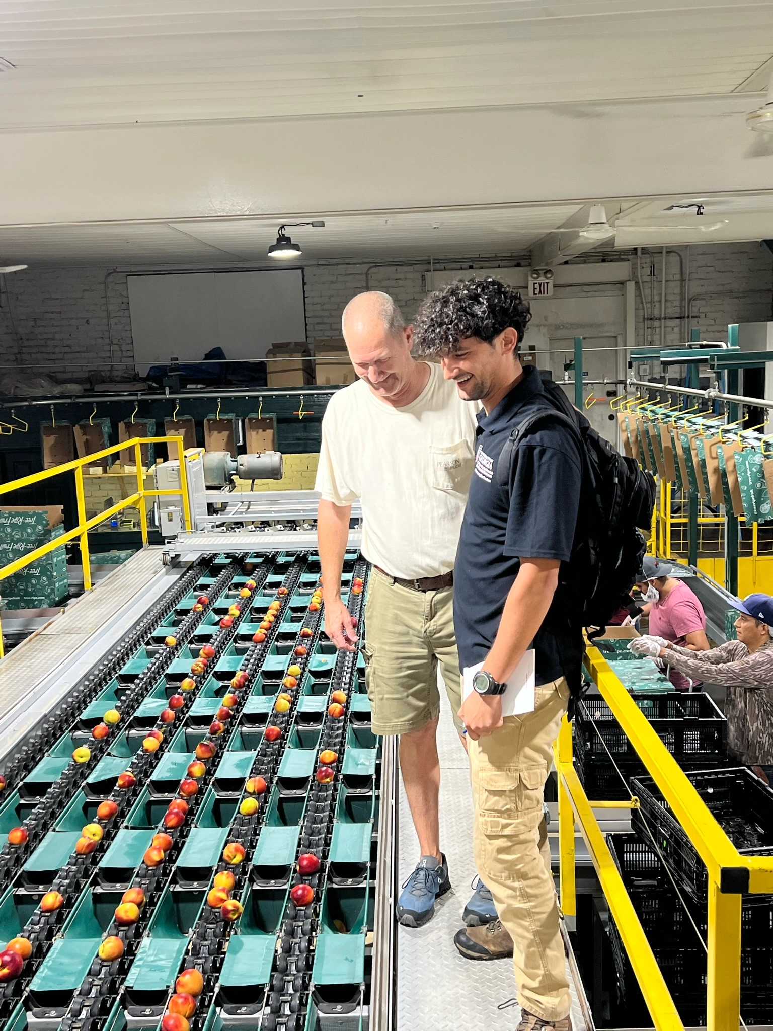 Peach packing and storage workflow