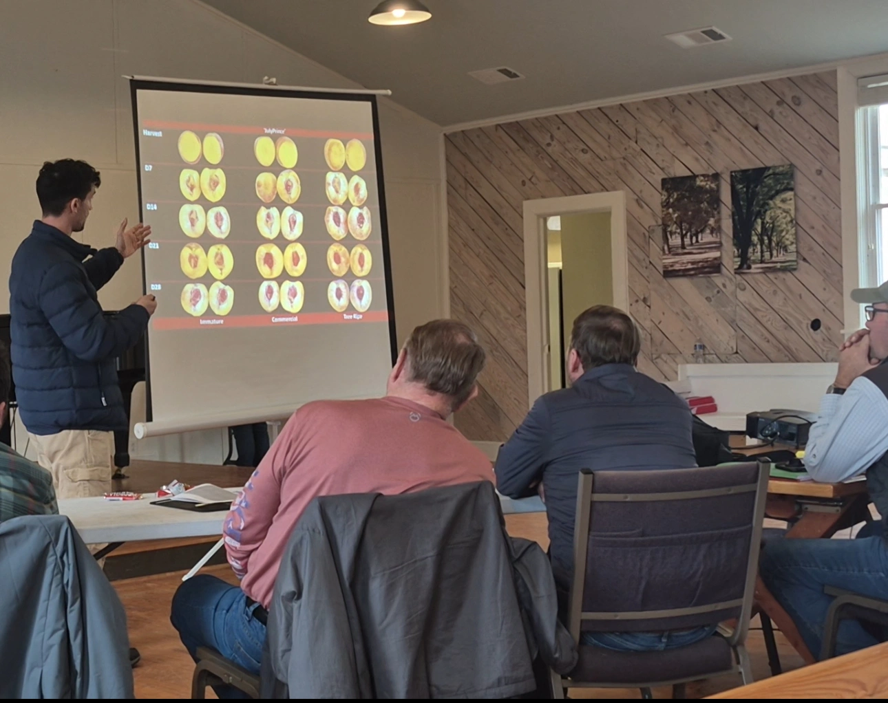 Peach quality assessment and handling